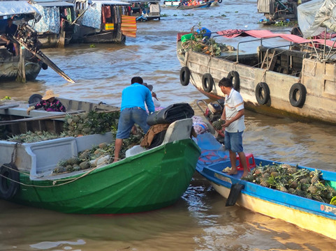 Hieutour Vietnam Investment Co., Ltd-芹苴必去景点