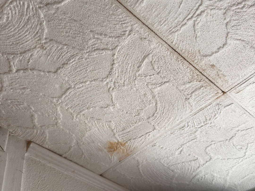 Hôtel des Platanes主图