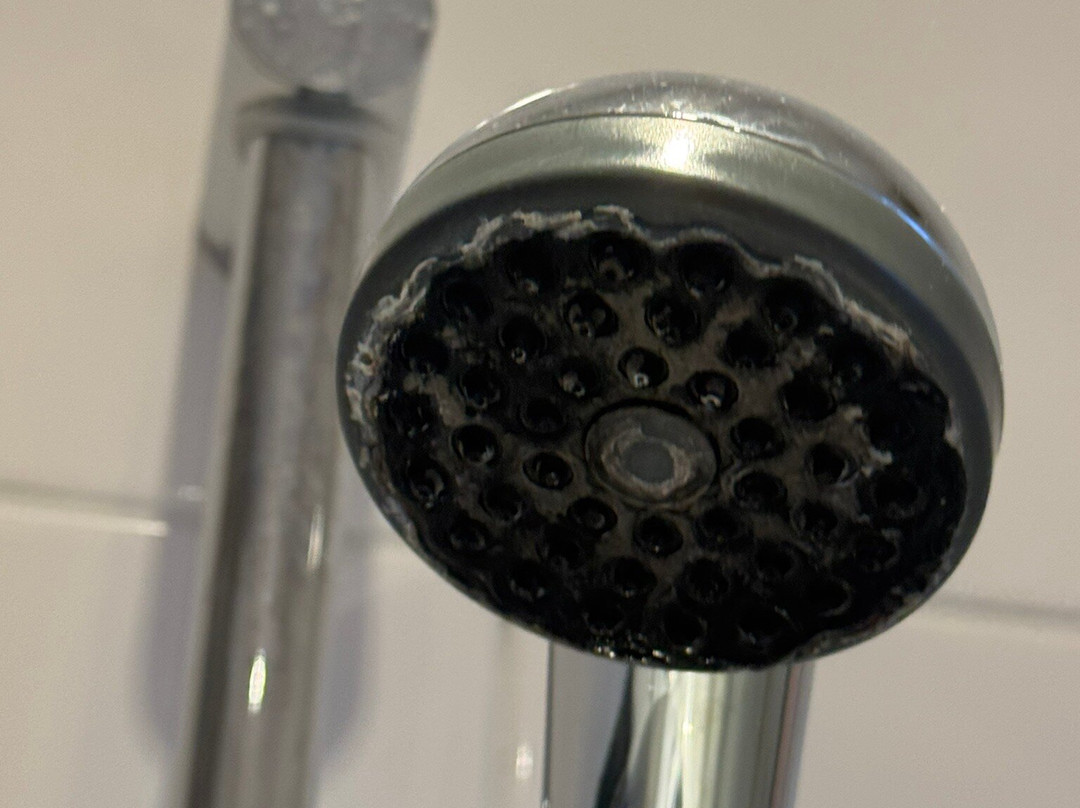 The White Bear Inn主图