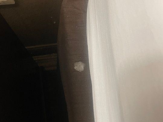 Portland Inn & Suites主图