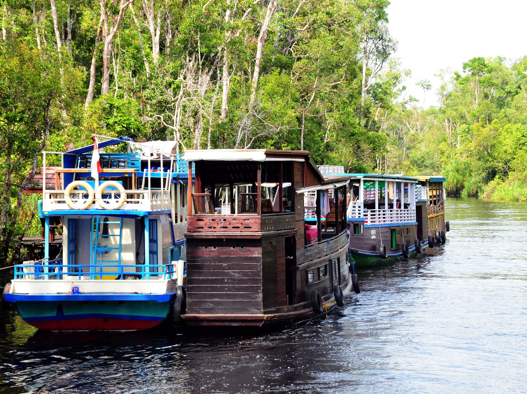 Local Guides - Tanjung Puting-Pangkalan Bun必去景点