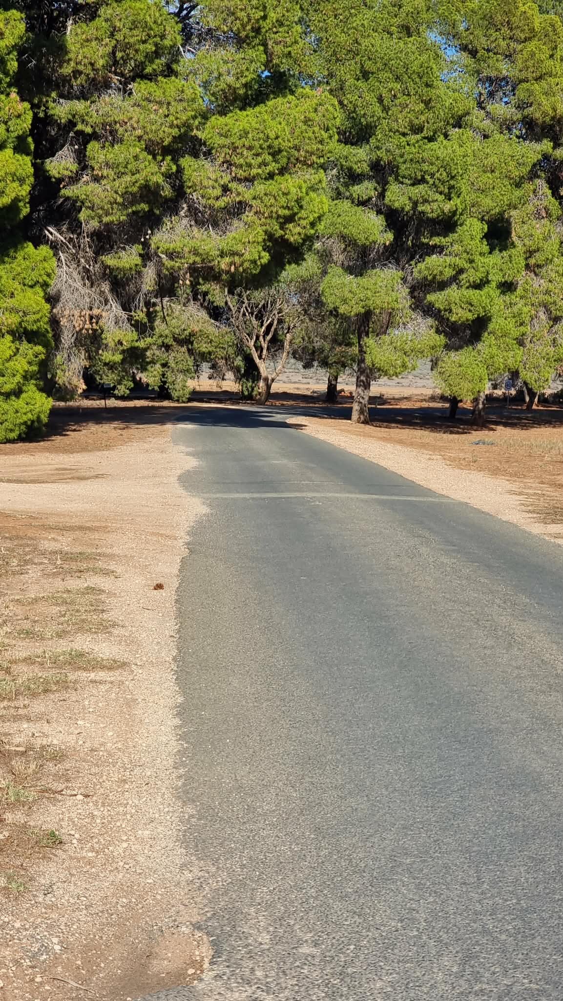 Renmark Country Club-官方