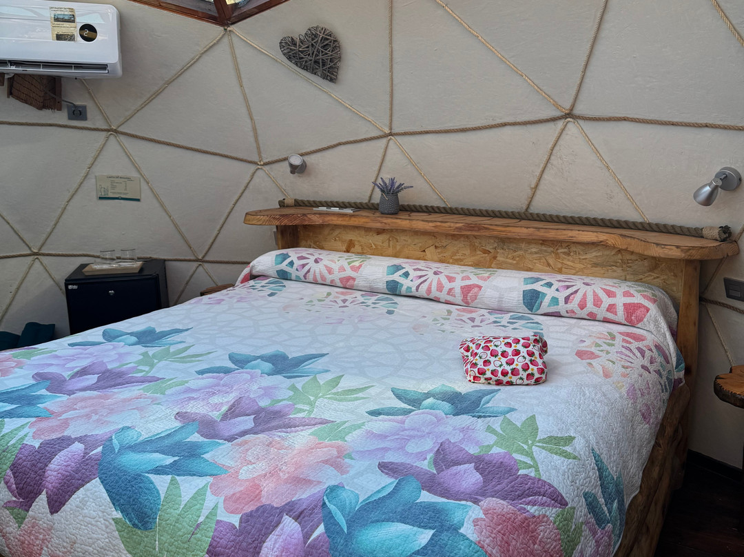 El Xalet de Prades主图