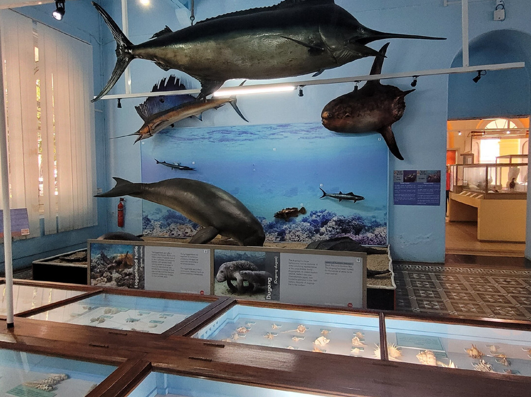 Natural History Museum-路易士港必去景点