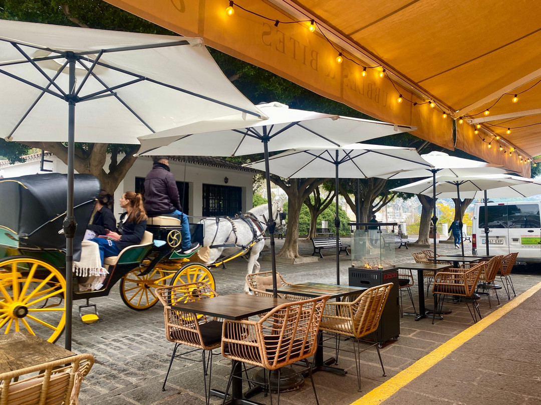 Jazzy Bubbles And Bites