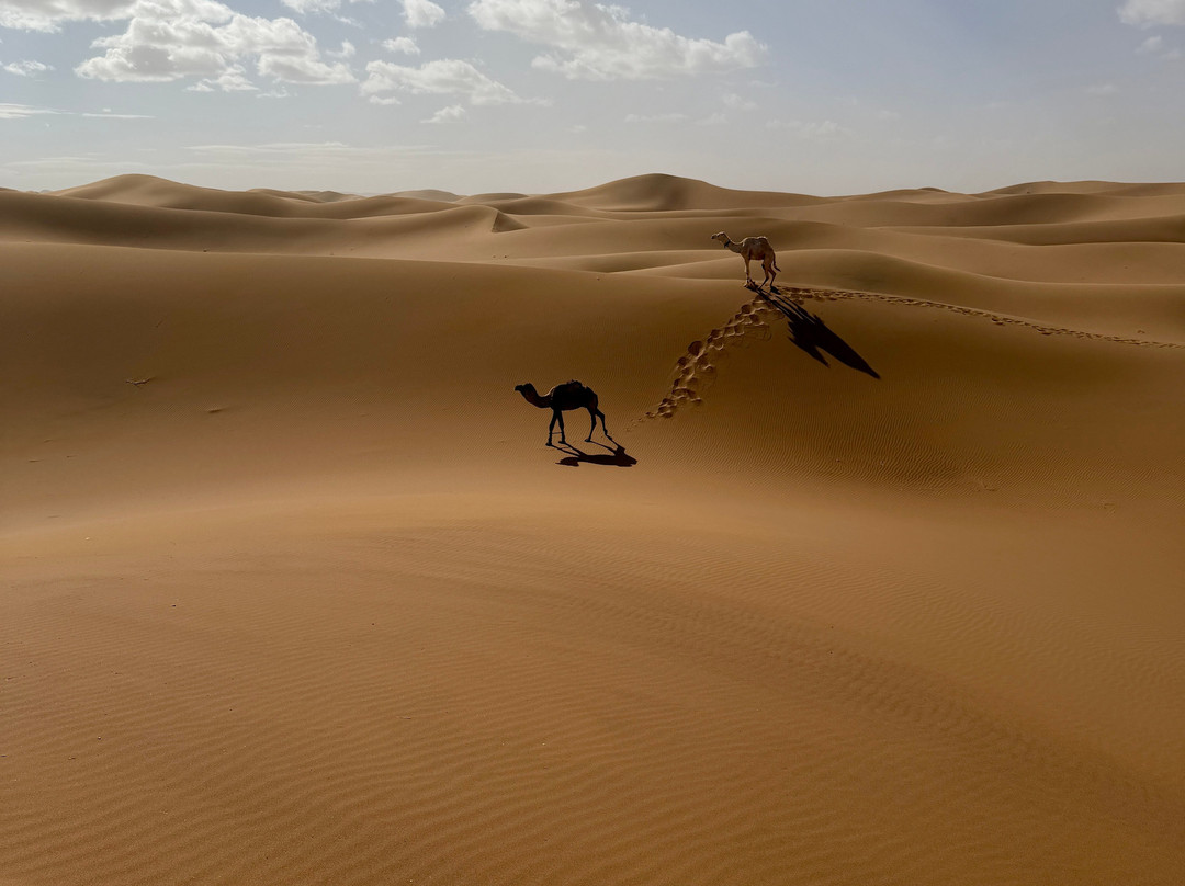 Mélodie du désert-迈哈米德必去景点