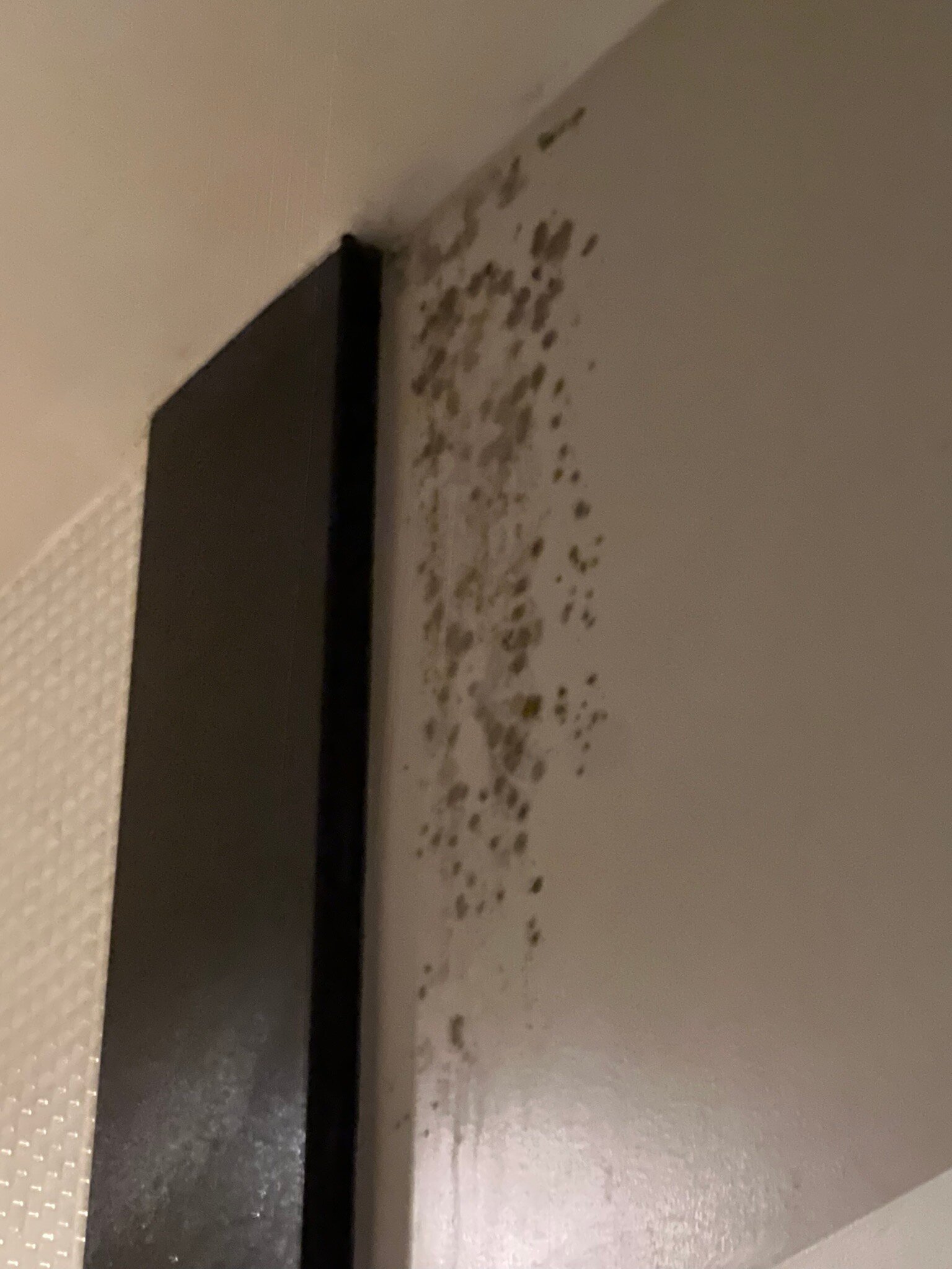 克伦威尔酒店-官方