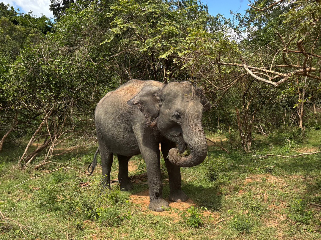 Freedom Safari Jeep Tours-蒂瑟默哈拉默必去景点