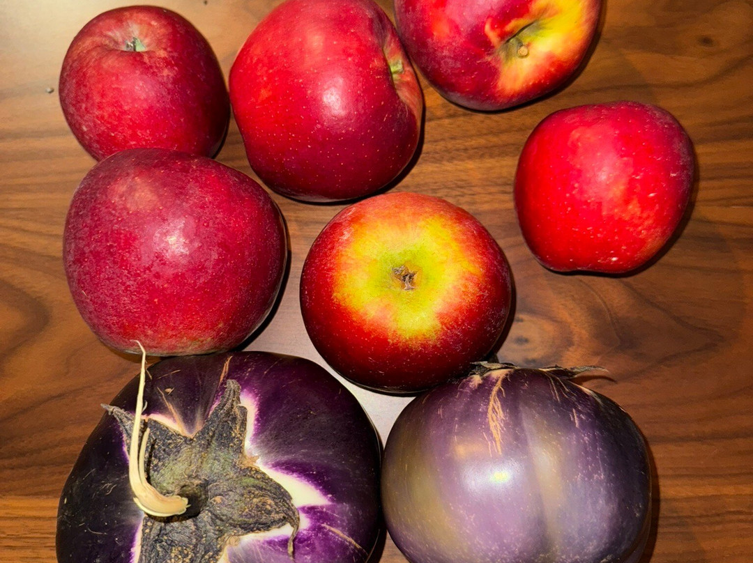 Ort Farms-Long Valley必去景点