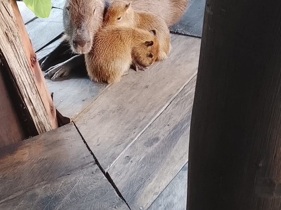 Osprey Expeditions-卡奈玛国家公园必去景点