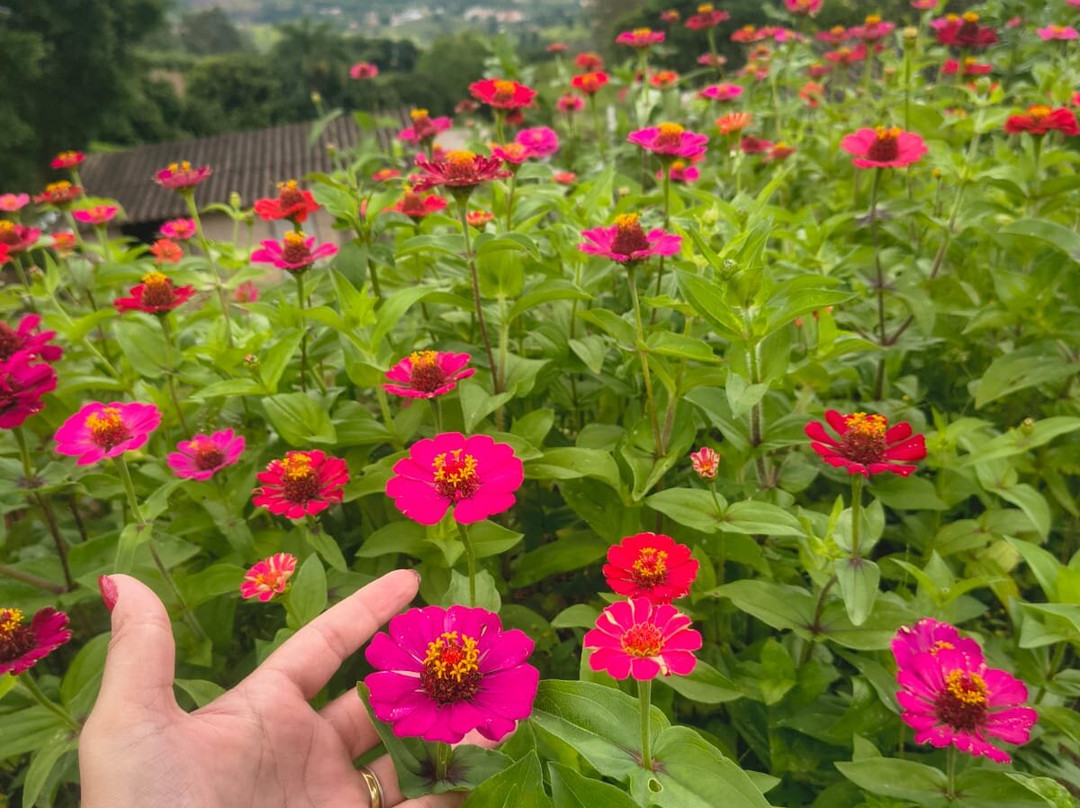 Café Nonno Marchi-塞拉内格拉必去景点