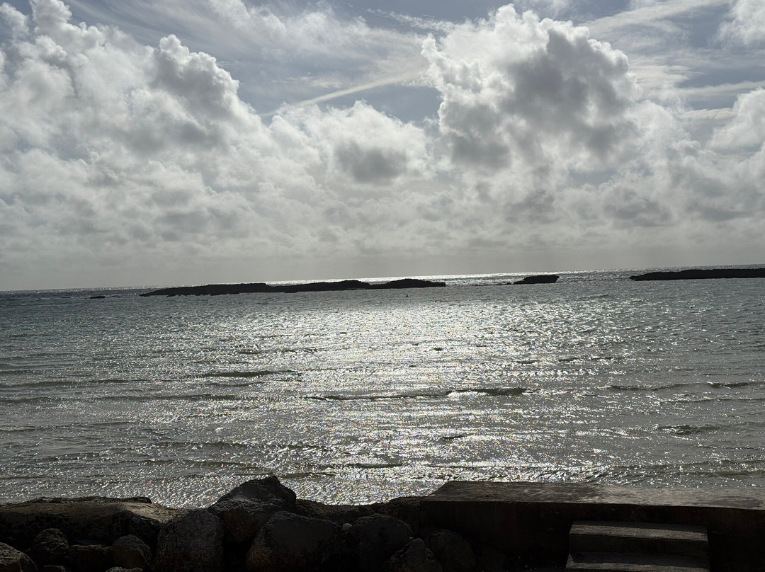 Paradise Cove-弗里波特必去景点