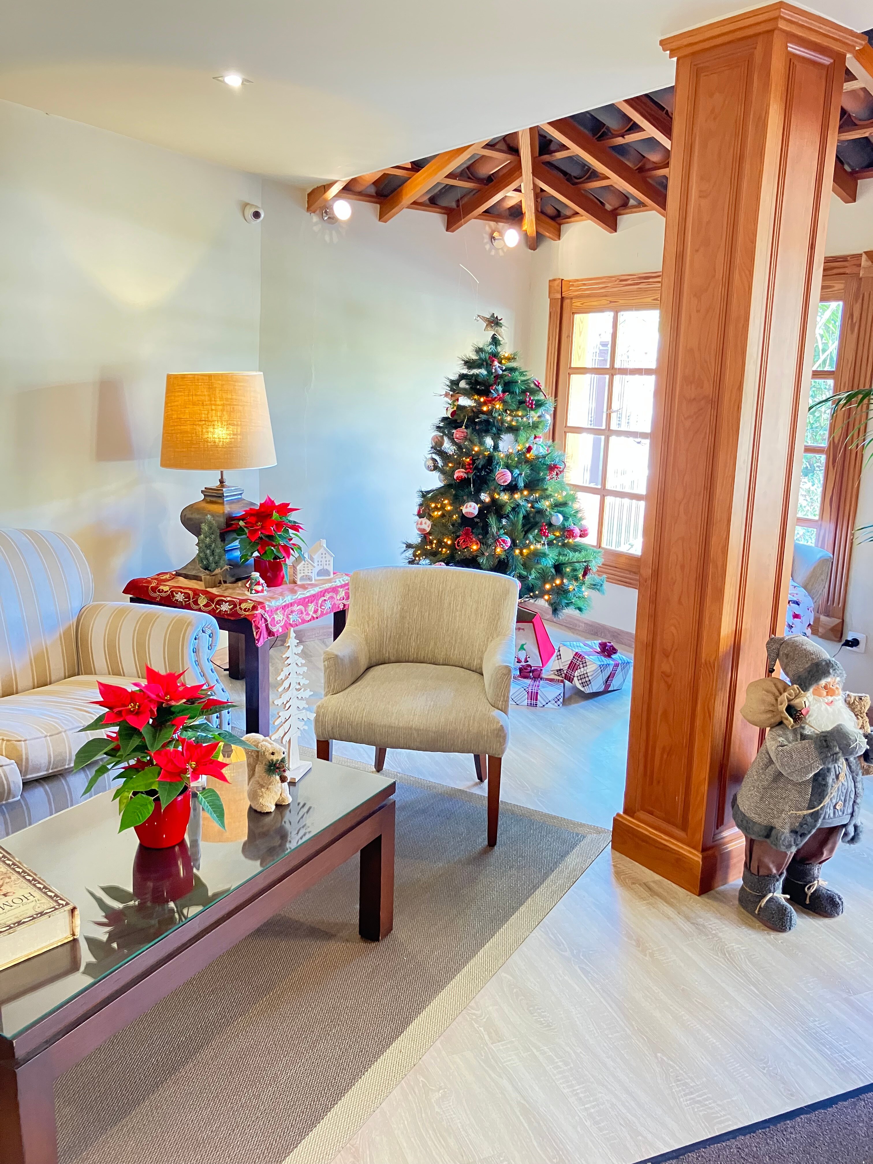 Apartments Ambassador-官方