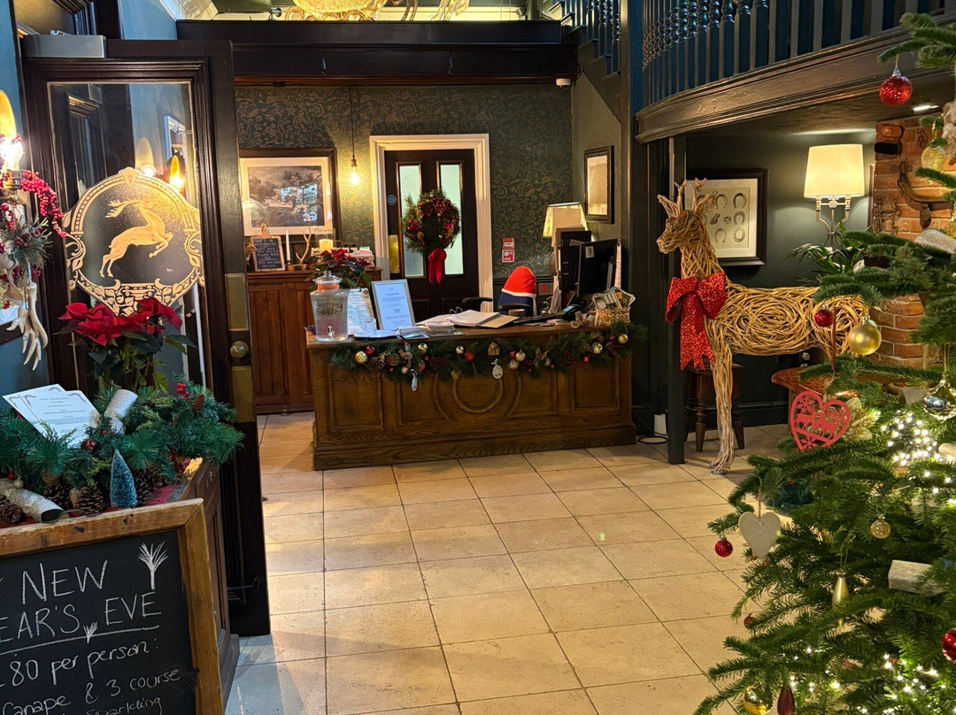 富勒白鹿酒店主图