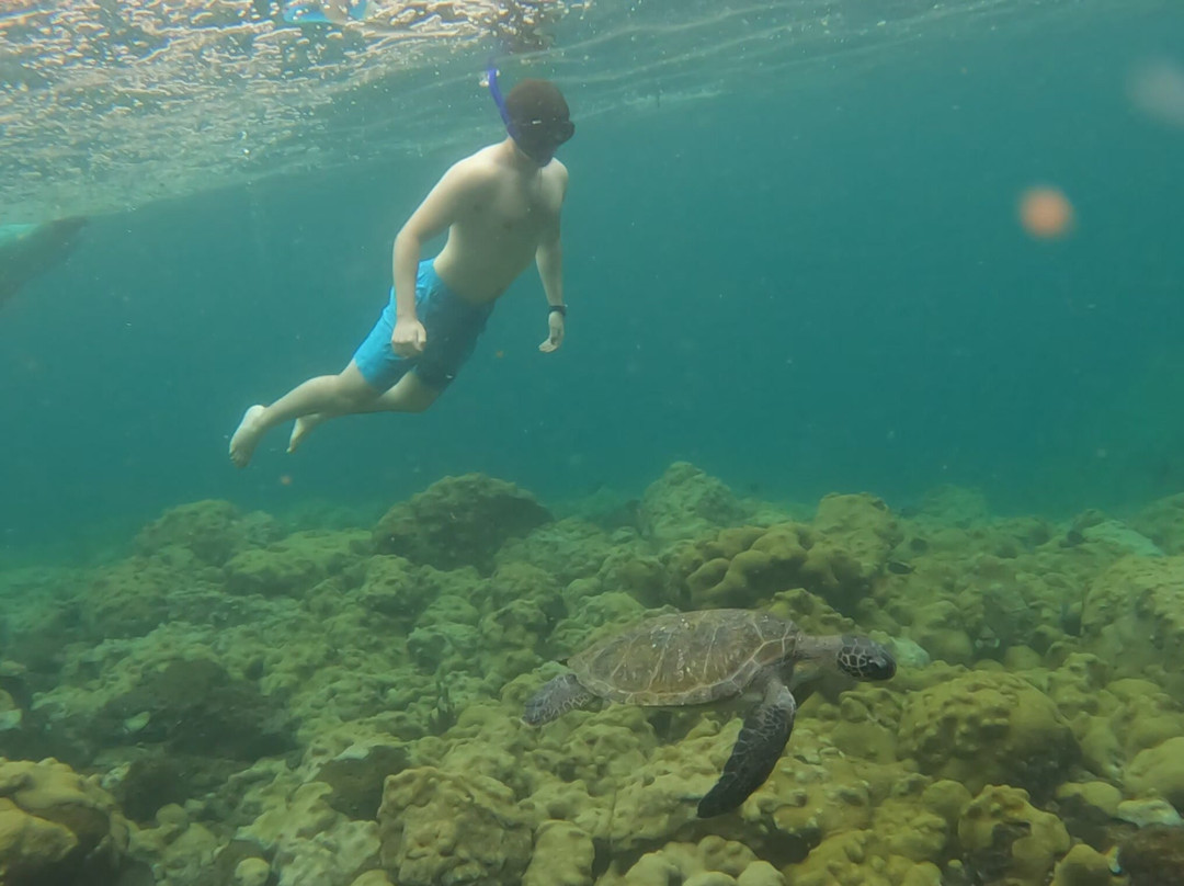 Acqua Jungle Ilha Grande-Vila do Abraao必去景点