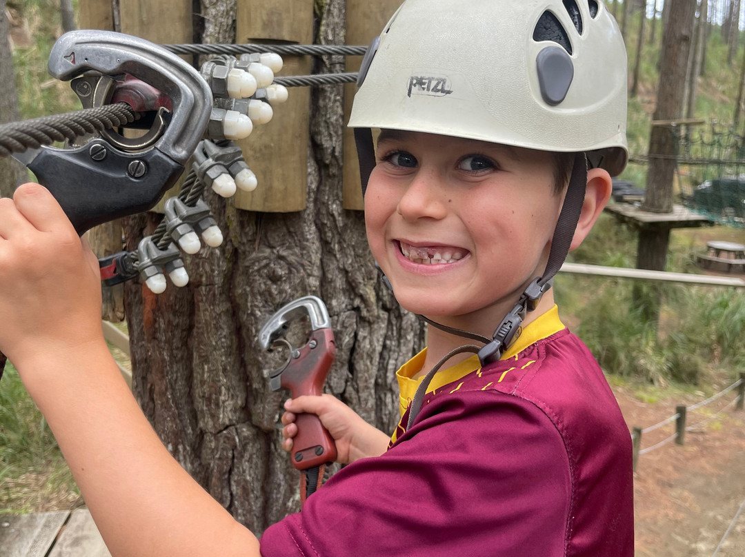 Tree Adventures-伍德山必去景点
