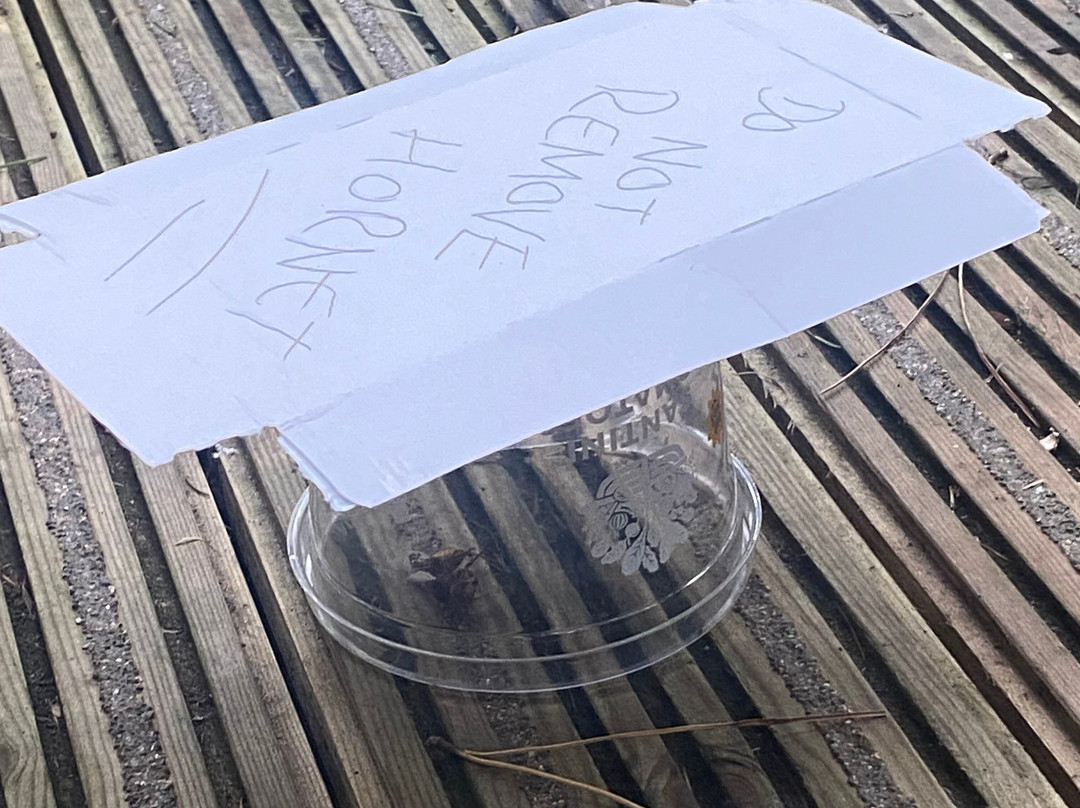 Delamere Forest-Delamere必去景点