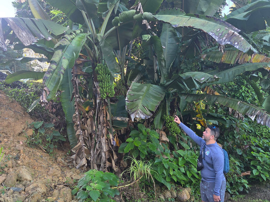 Unique Quality Tours-圣胡安必去景点