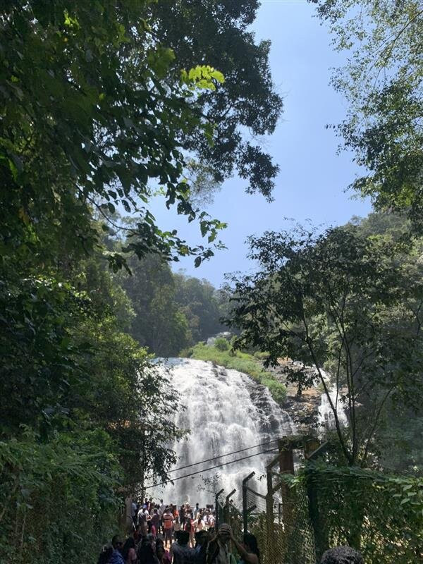 Abbey Falls-马蒂科里必去景点