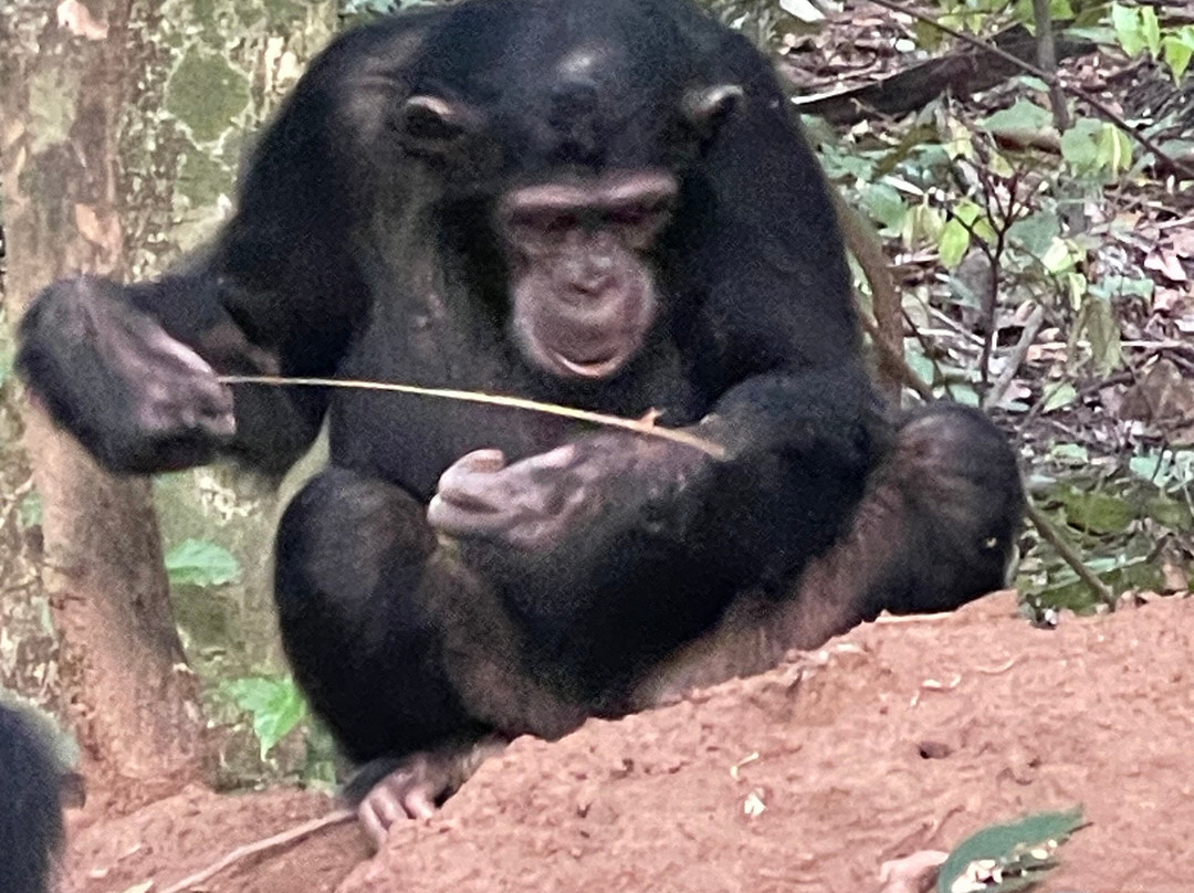 Kigoma Eco-Cultural Tourism-Kigoma必去景点