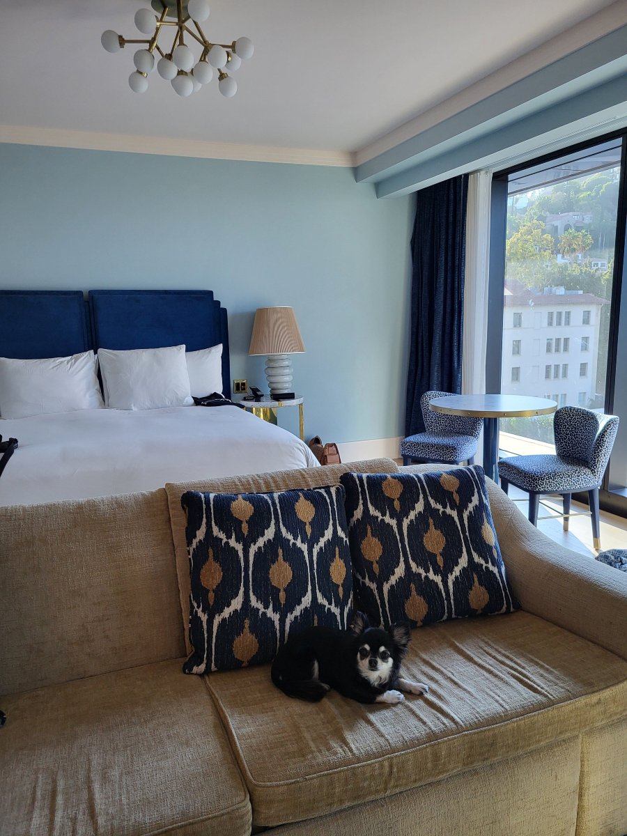 西好莱坞太阳玫瑰酒店-客卧