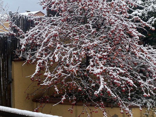 Casa Rural La Querencia主图