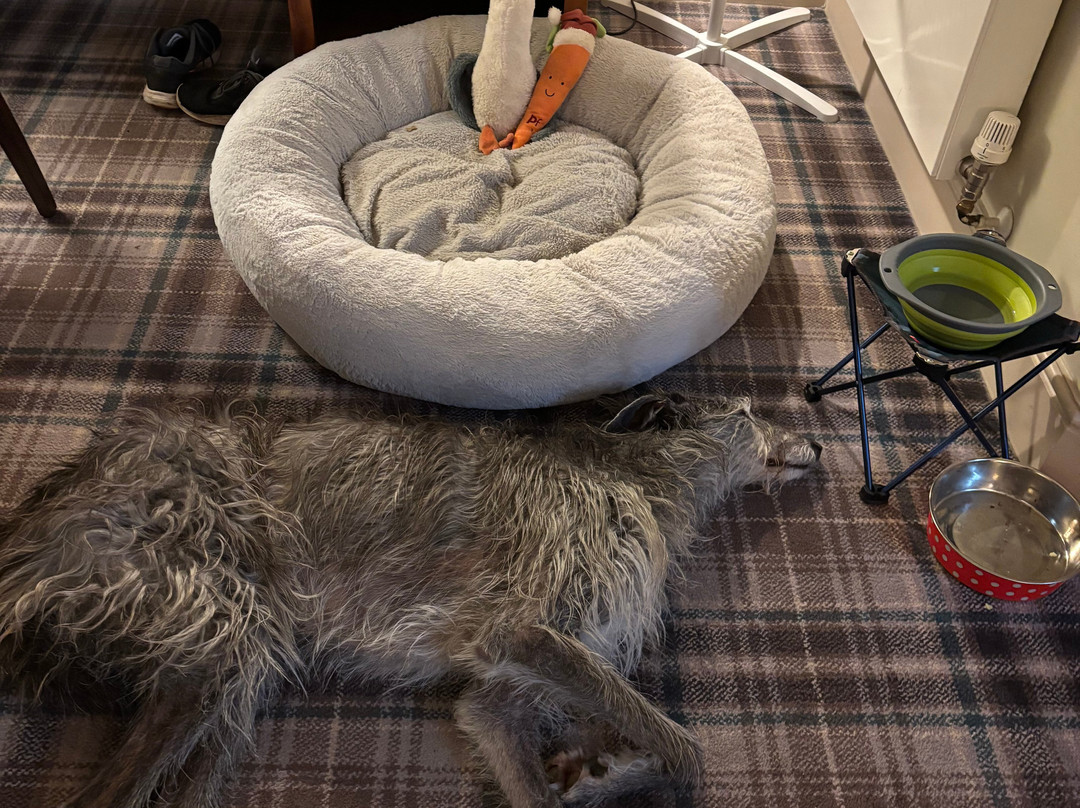 The Hog's Head Inn - The Inn Collection Group主图