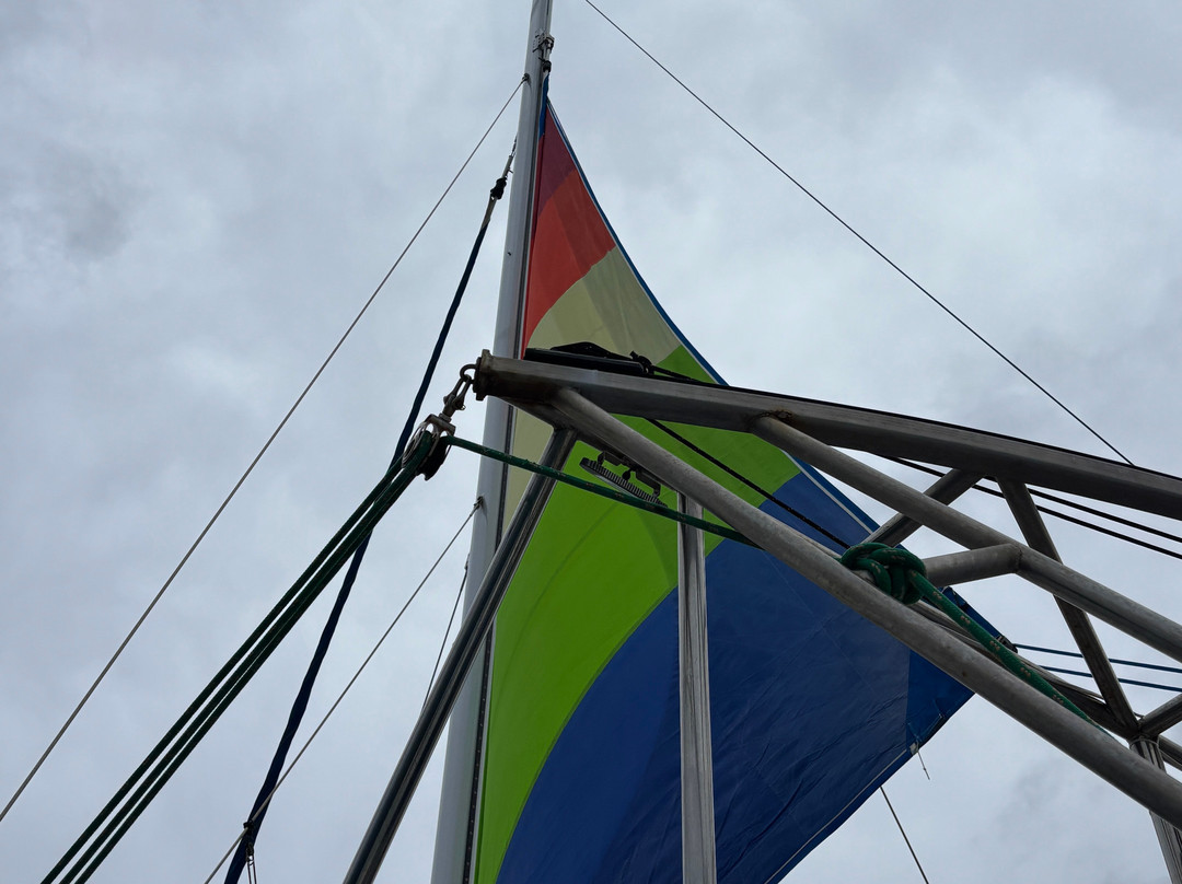 Blue Dolphin Charters-埃里埃利必去景点