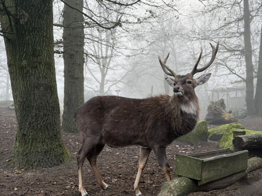 Tierpark Nordhorn-Nordhorn必去景点