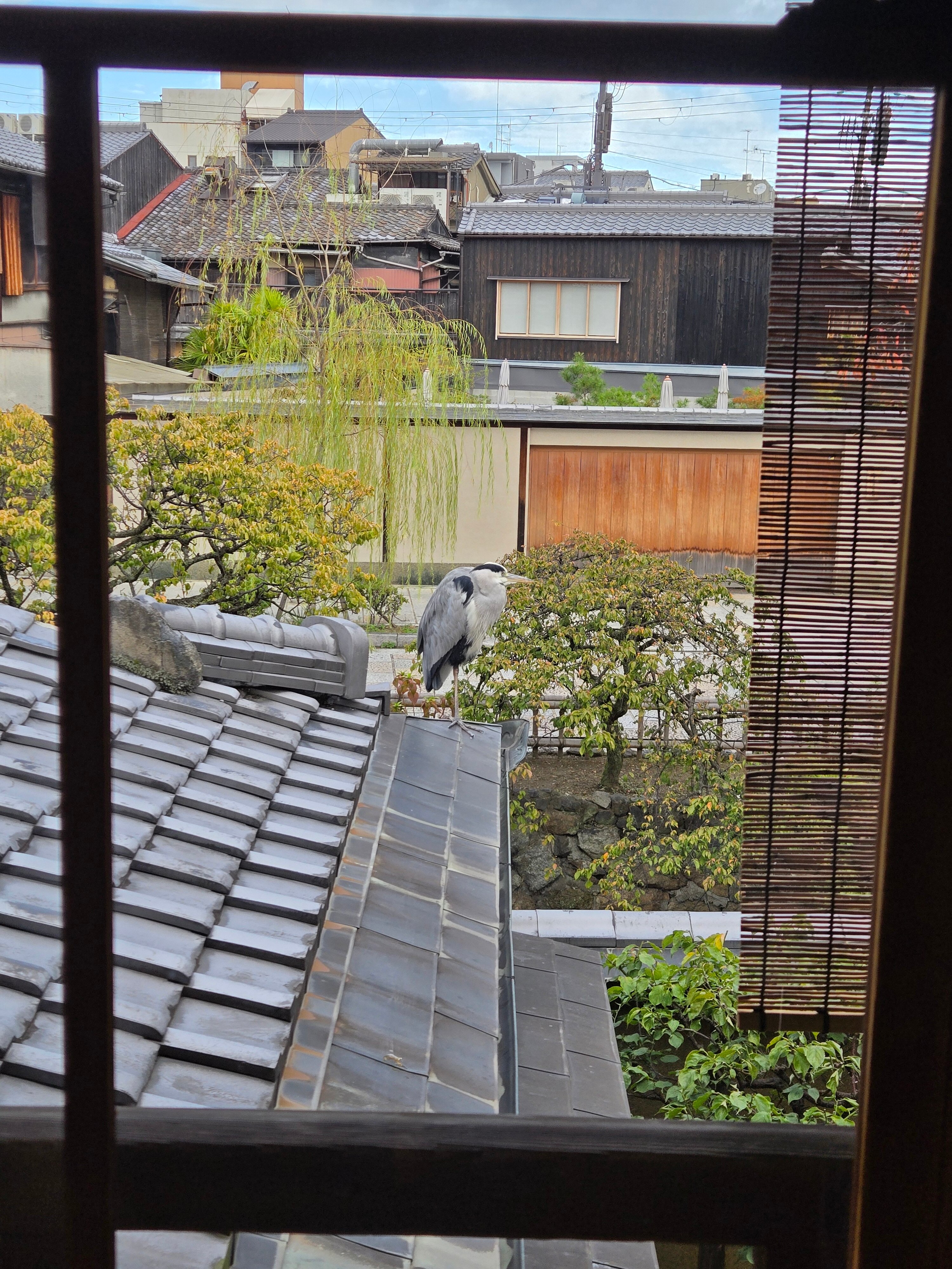 白梅料理旅馆-客卧