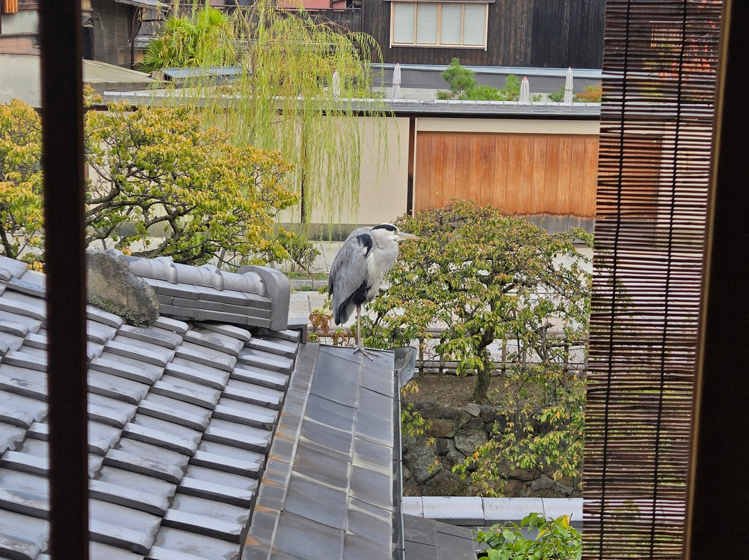 白梅料理旅馆主图