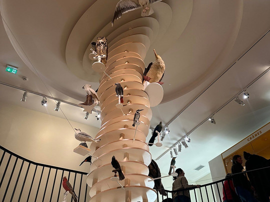 Muséum d'Histoire Naturelle-勒阿弗尔必去景点