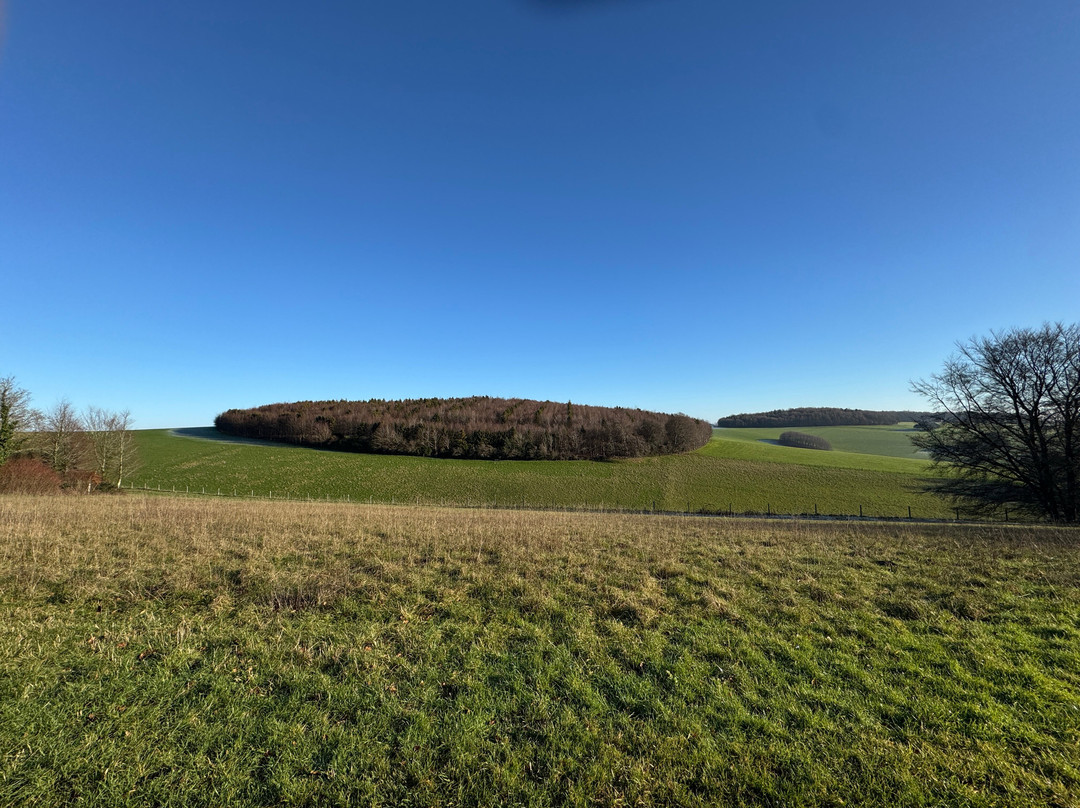 Arden House B&B主图