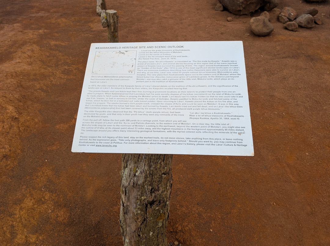 Expeditions Lahaina/Lanai Passenger Ferry-拉海纳必去景点