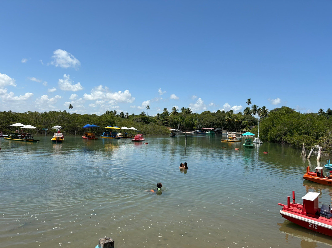 Passeio de buggy Porto de Galinhas-嘎林海斯港必去景点
