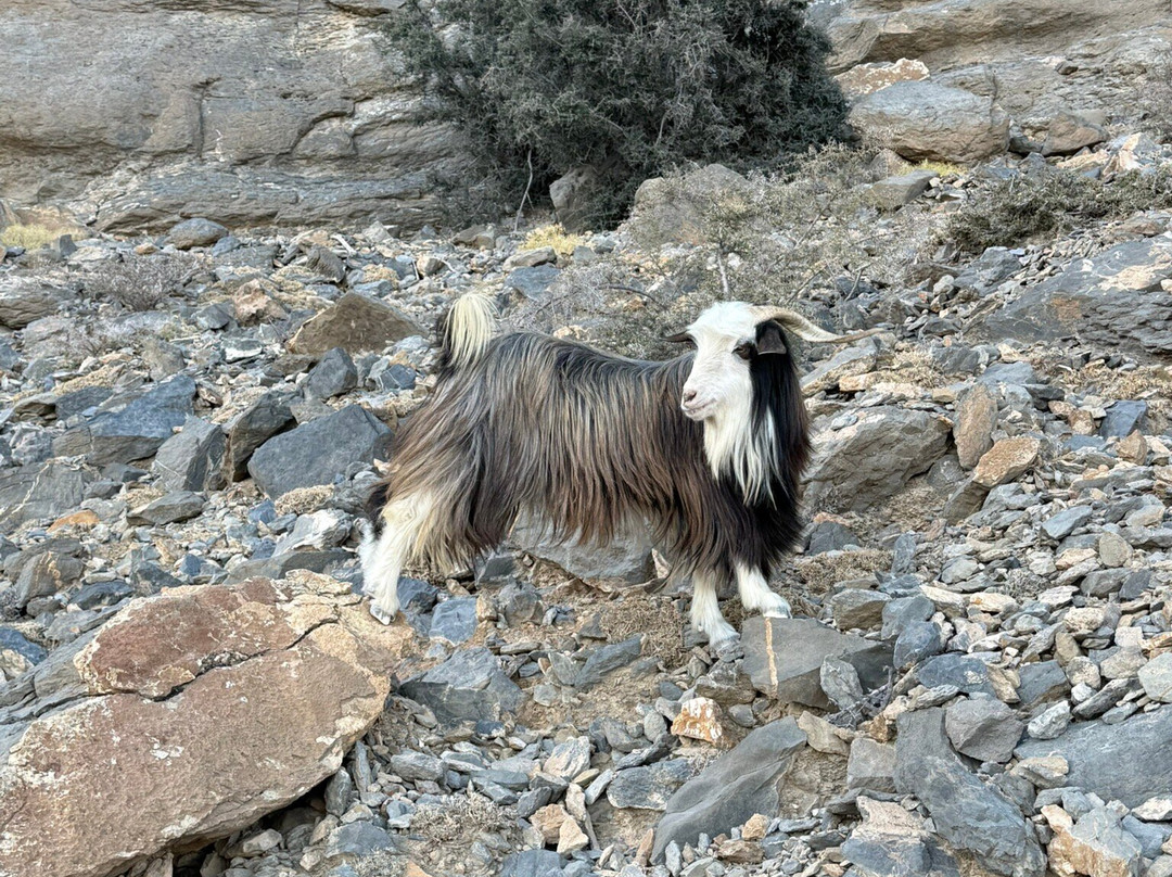 Jebel Shams-Jabal Shams必去景点