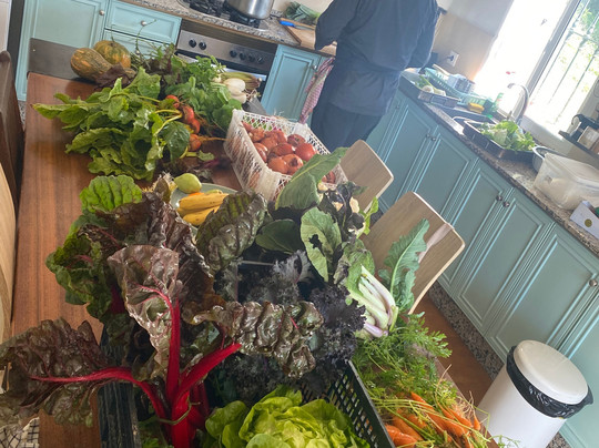 Wild Warrior Yoga-Los Canos de Meca必去景点