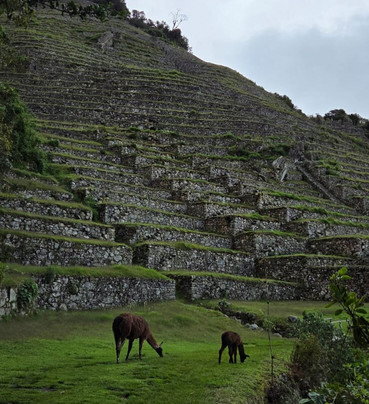 Peru Treks & Inca Trail-库斯科必去景点