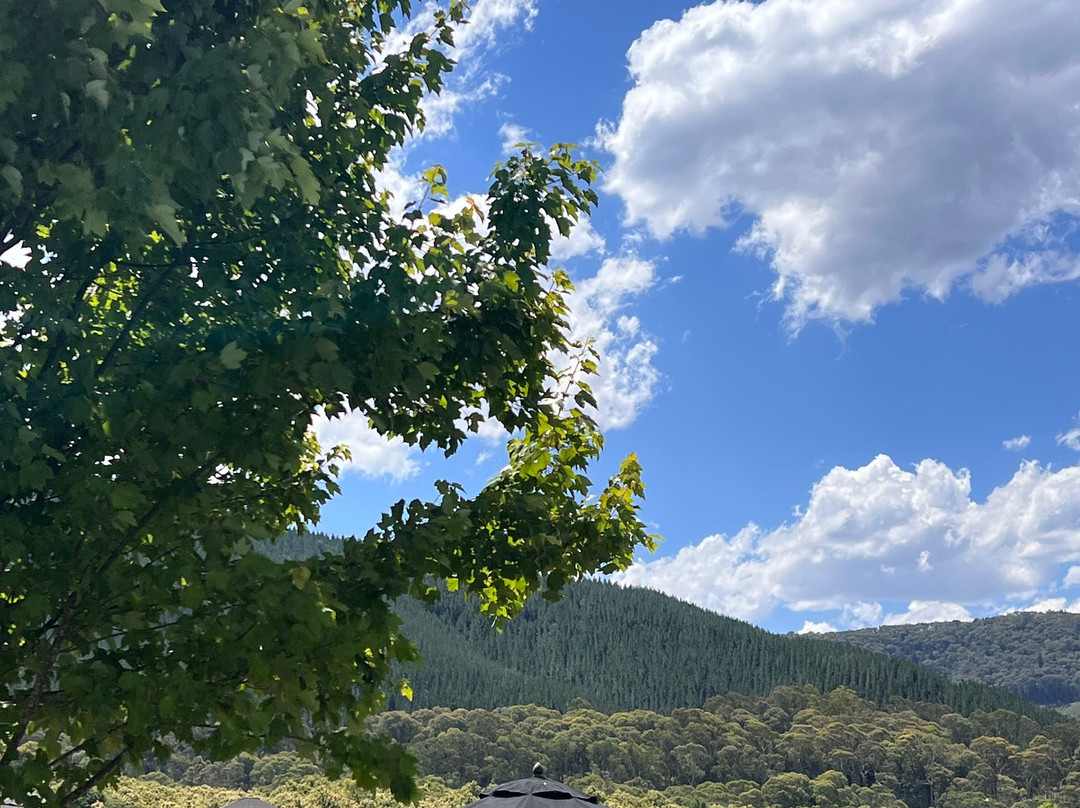 Nightingale Bros-Wandiligong必去景点