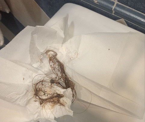 Hotel Borgo del Mare主图