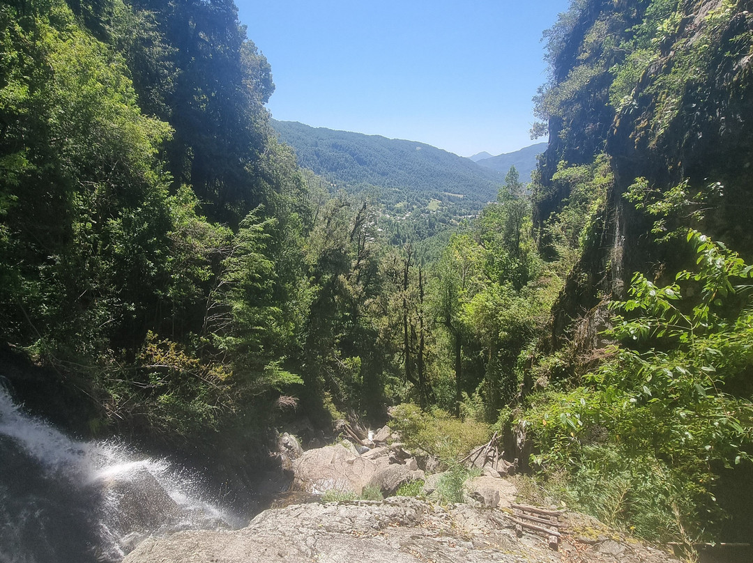 Reserva Biologica Juan Millanao-Panguipulli必去景点
