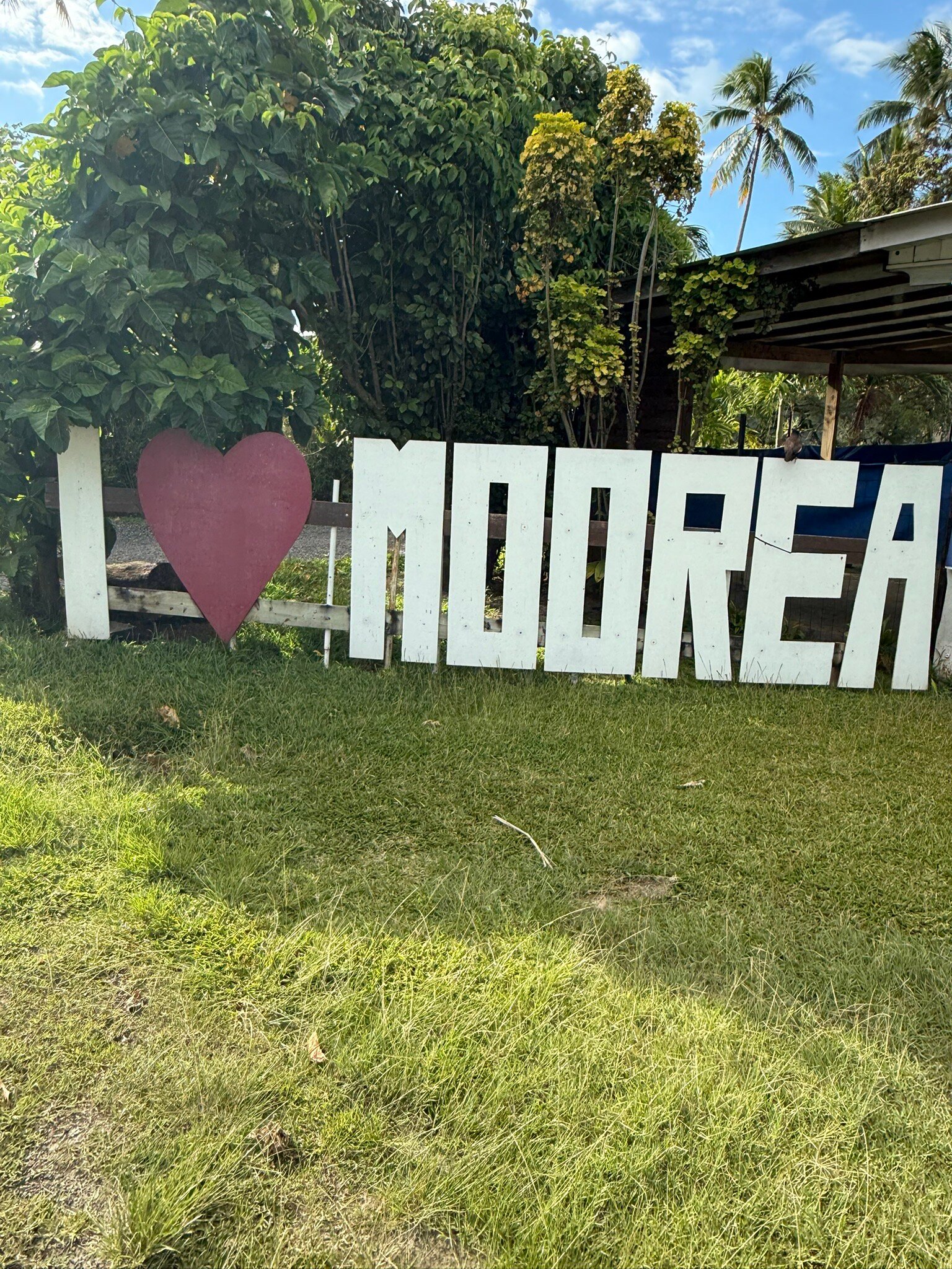 明珠度假村-官方