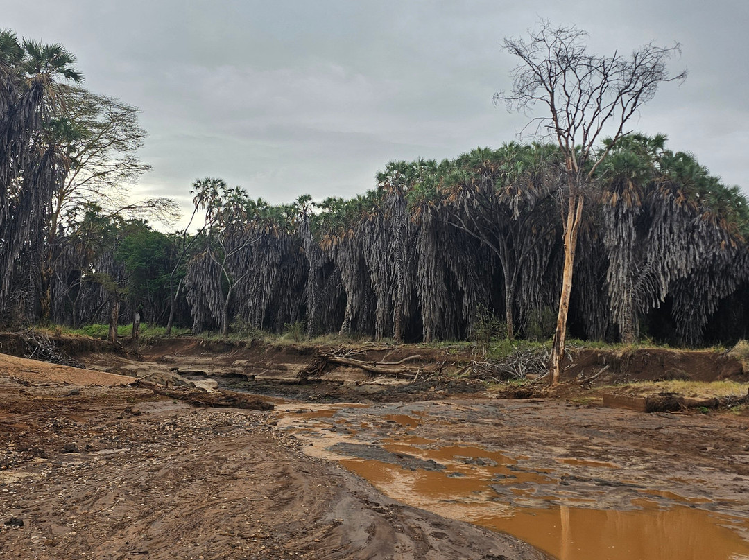 Tourfix Safaris Kenya-Mara North Conservancy必去景点