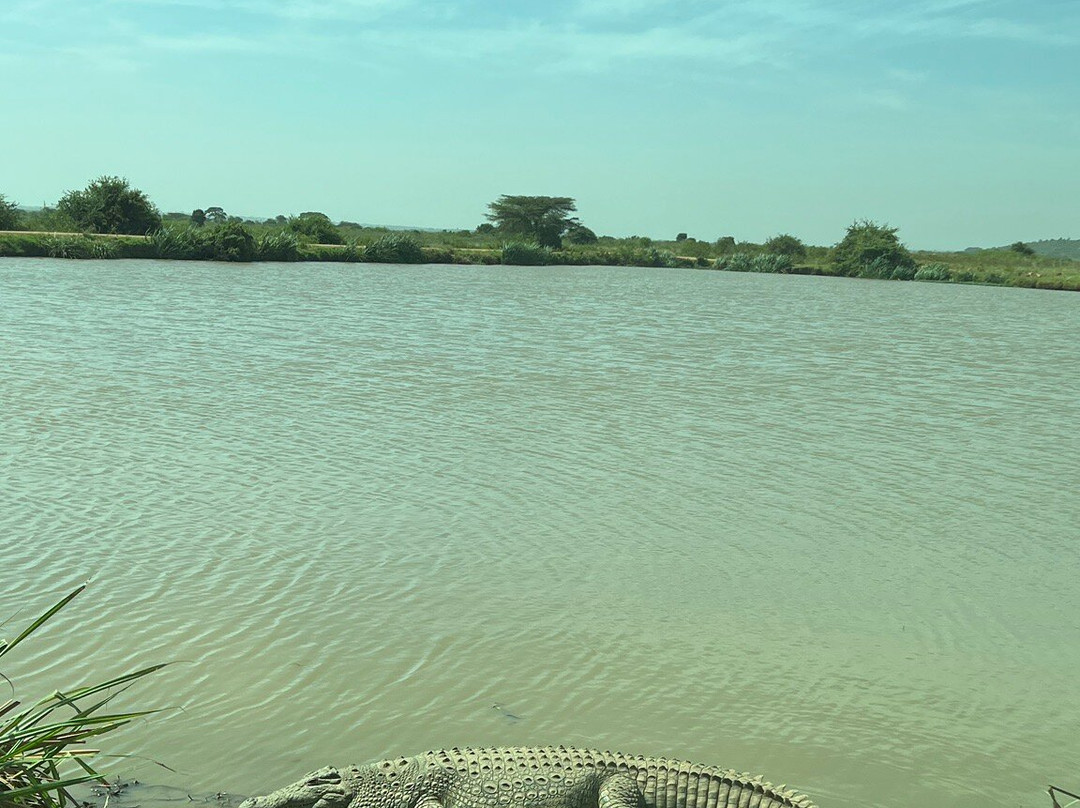 DISCOVERY OUTDOORS KENYA-Langata必去景点