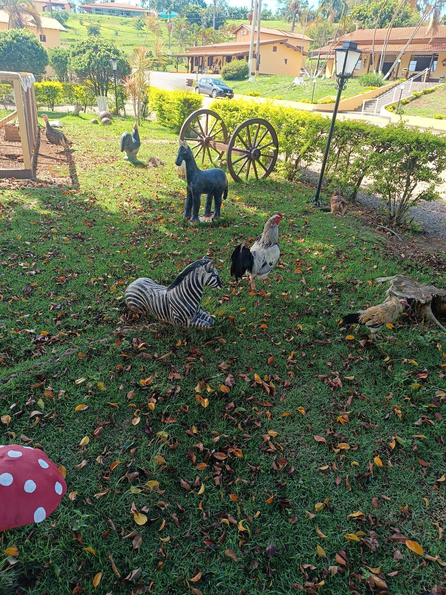 Hotel Fazenda Santa Maria-官方