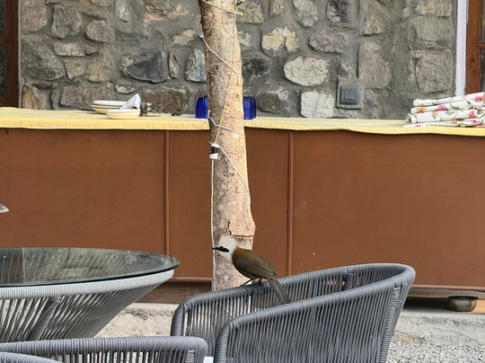 Neemrana's Glasshouse On The Ganges主图