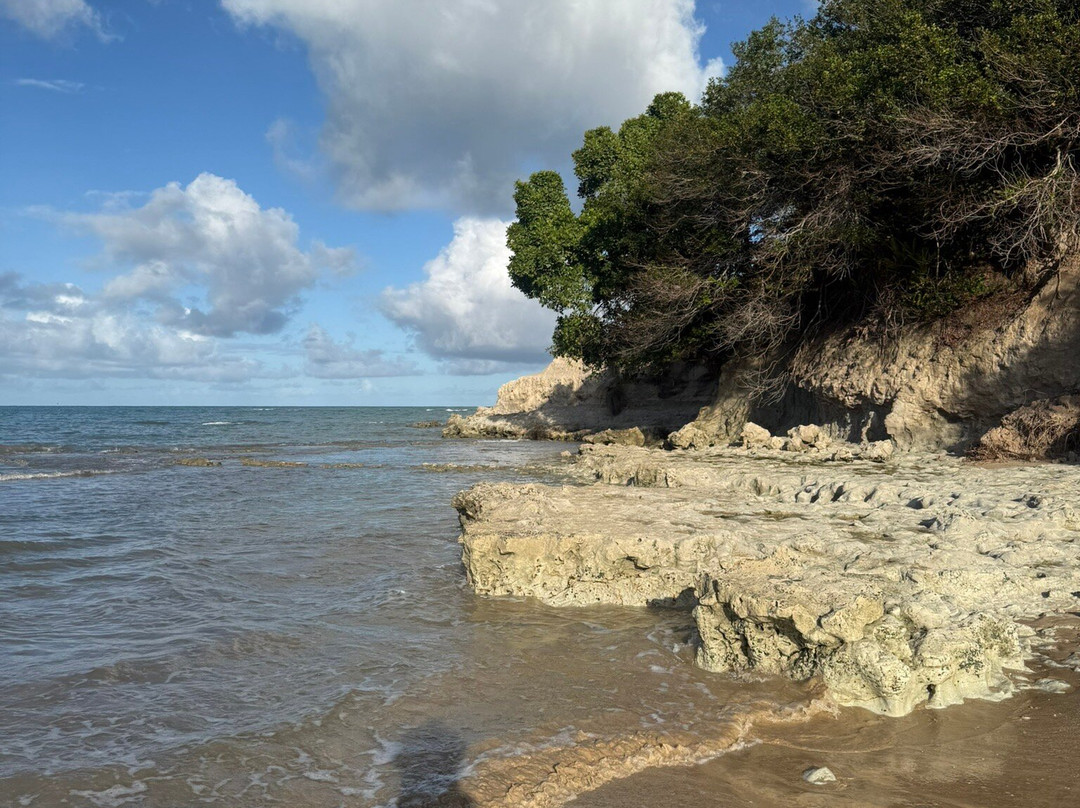 Imbassuaba Beach (Arnaldo)-Cumuruxatiba必去景点