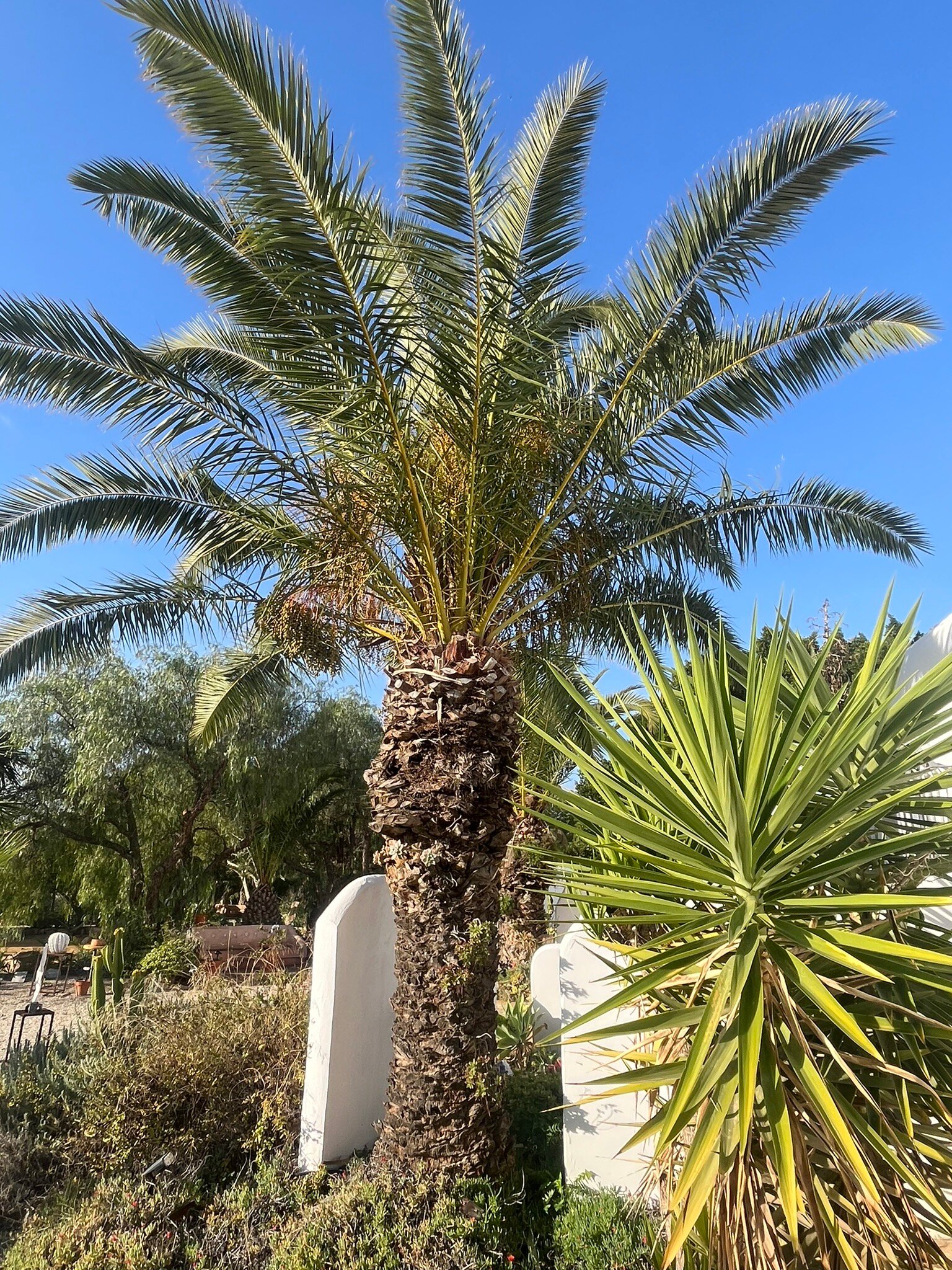 瑞雷西林思科尔蒂霍马尔诺旅馆-官方