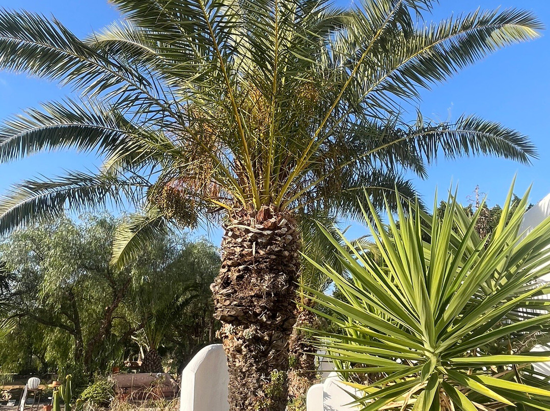 瑞雷西林思科尔蒂霍马尔诺旅馆主图