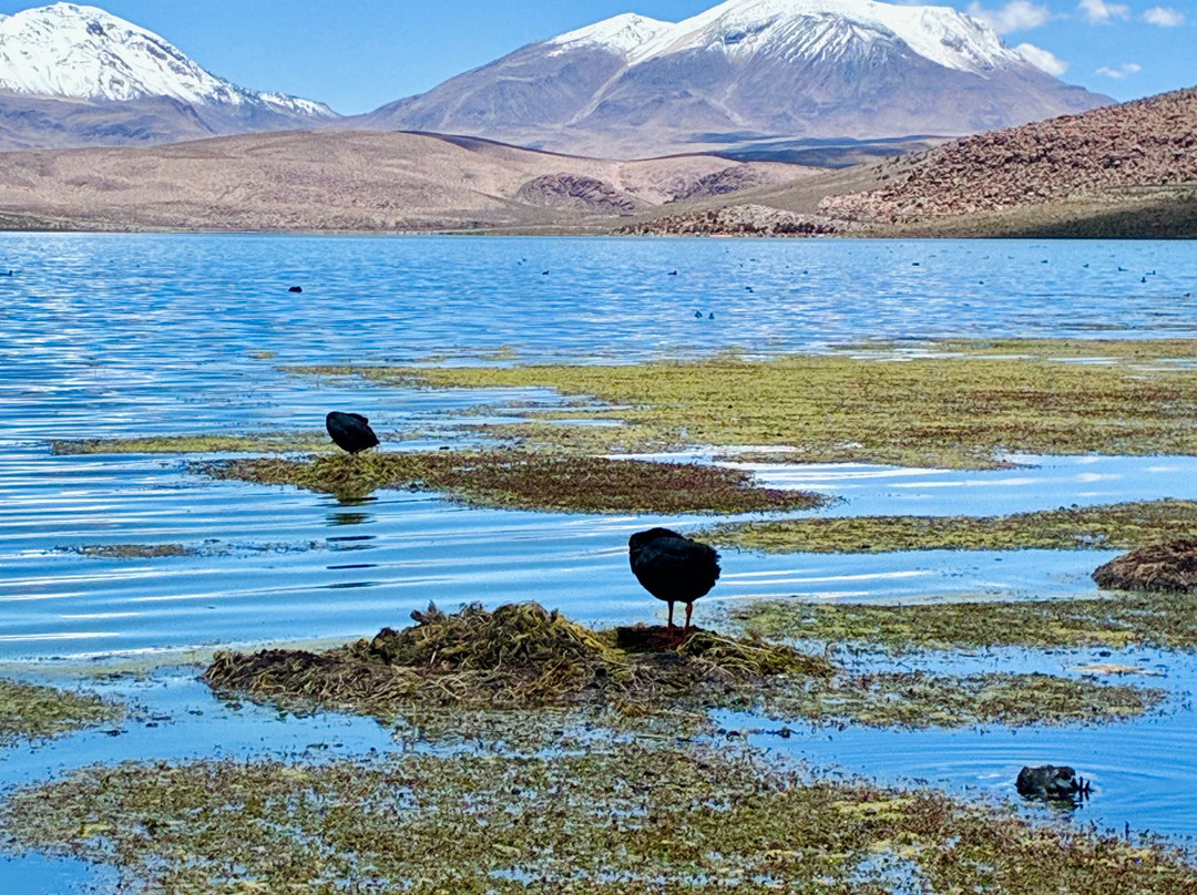 Mayuru Tour-Putre必去景点
